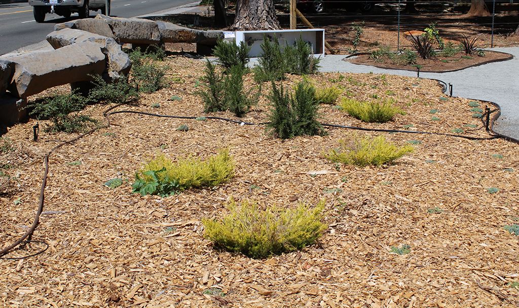 Erosion Control Garden