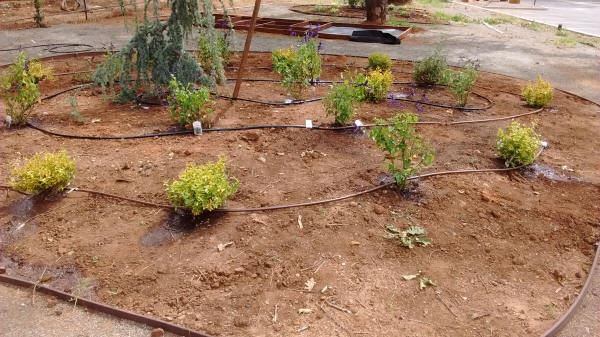 Bed D Irrigation Equipment